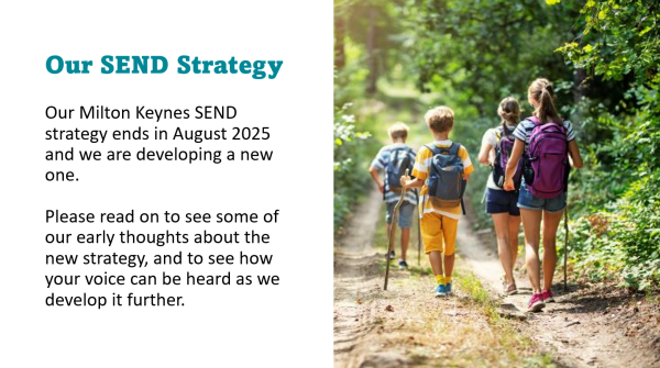 SEND Strategy 2