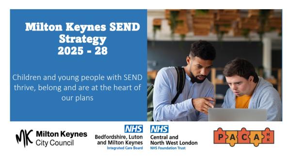 SEND Strategy 1