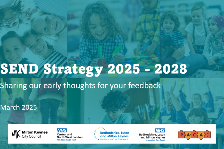 SEND strategy front page 