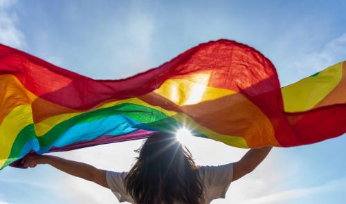 person holding a rainbow flag